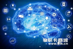 兼具互动性与实用性 物联网数字营销赋能网络设备销售的全景相例